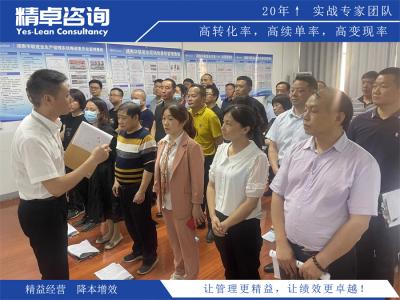 湖北精益咨询管理公司排名