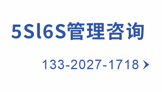 5S|6S管理咨询