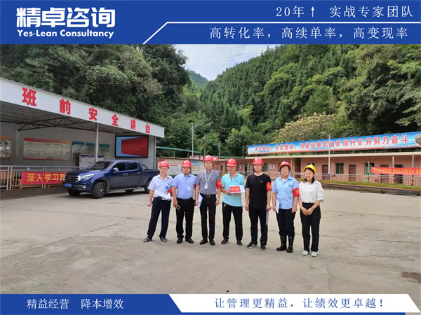 与5S咨询合作的核心流程